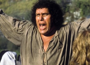 Andre the Giant pic
